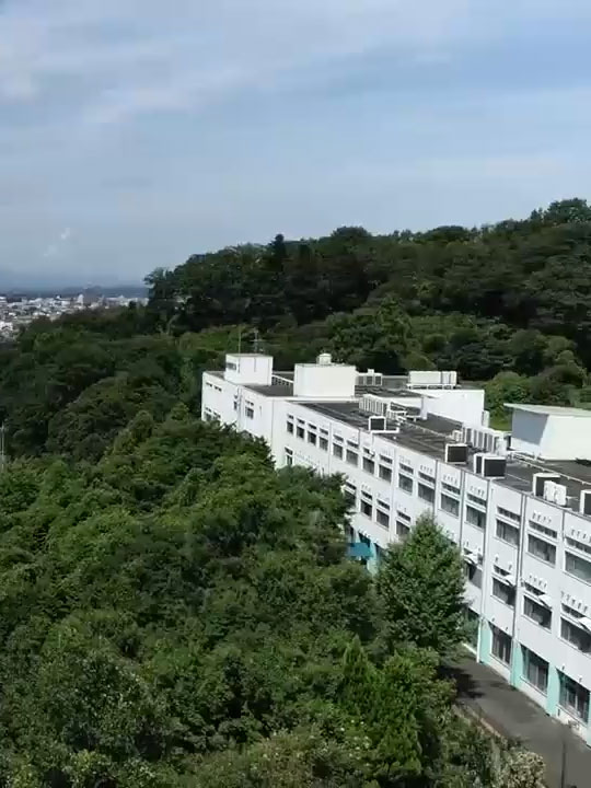 武蔵丘 短期 大学