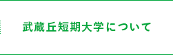 武蔵丘短期大学について